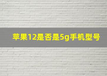 苹果12是否是5g手机型号