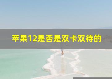 苹果12是否是双卡双待的