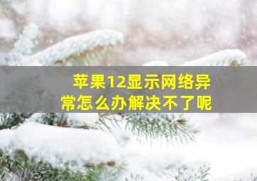 苹果12显示网络异常怎么办解决不了呢