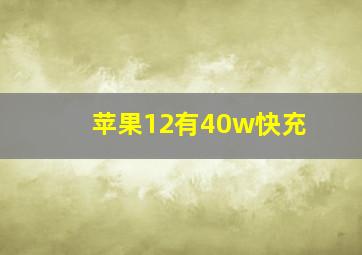 苹果12有40w快充