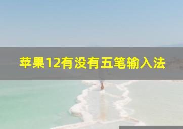 苹果12有没有五笔输入法