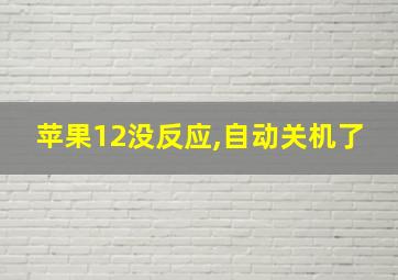 苹果12没反应,自动关机了