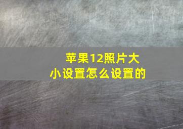 苹果12照片大小设置怎么设置的