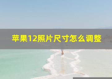 苹果12照片尺寸怎么调整