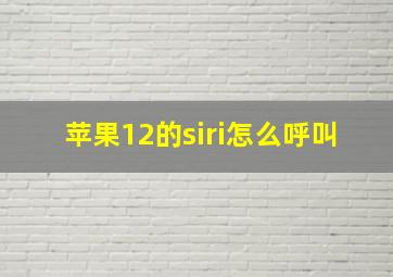 苹果12的siri怎么呼叫