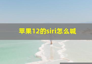 苹果12的siri怎么喊