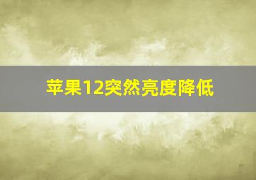 苹果12突然亮度降低