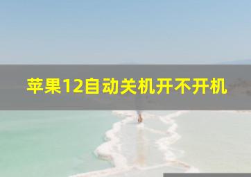 苹果12自动关机开不开机