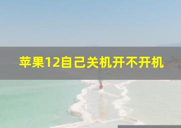 苹果12自己关机开不开机