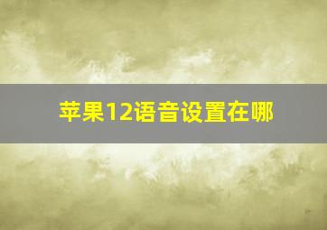 苹果12语音设置在哪