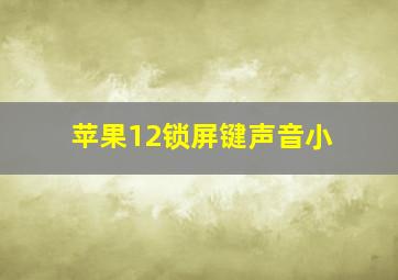 苹果12锁屏键声音小