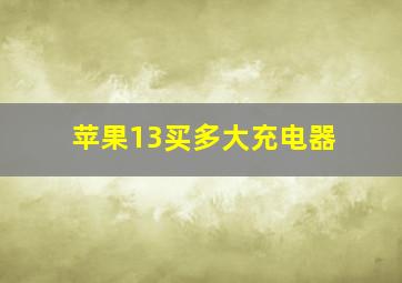 苹果13买多大充电器