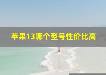 苹果13哪个型号性价比高