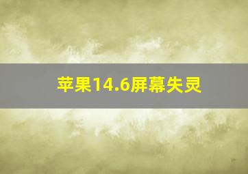 苹果14.6屏幕失灵