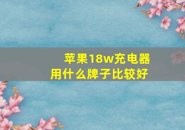 苹果18w充电器用什么牌子比较好