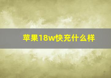 苹果18w快充什么样