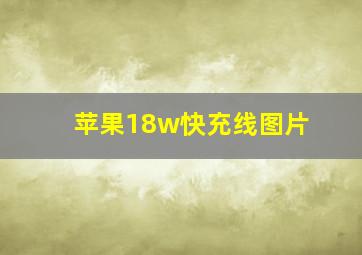 苹果18w快充线图片