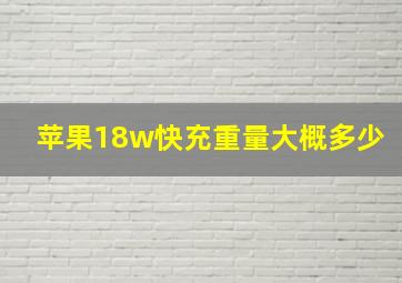 苹果18w快充重量大概多少