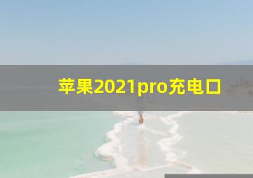 苹果2021pro充电口