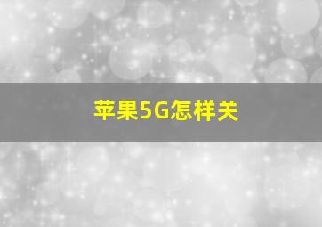 苹果5G怎样关