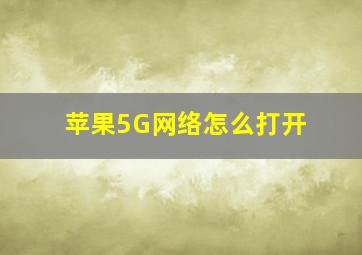 苹果5G网络怎么打开