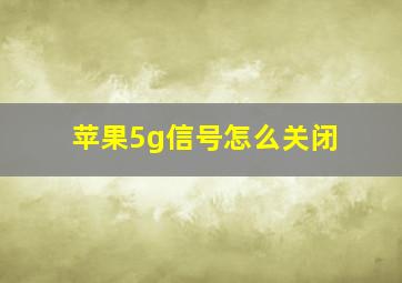 苹果5g信号怎么关闭