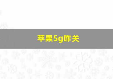 苹果5g咋关