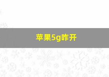 苹果5g咋开