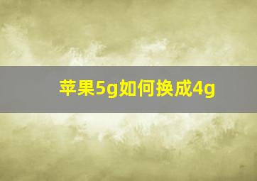 苹果5g如何换成4g