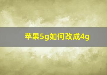 苹果5g如何改成4g