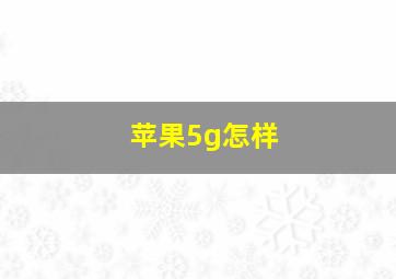 苹果5g怎样