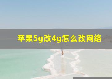 苹果5g改4g怎么改网络