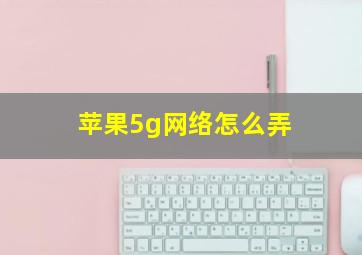 苹果5g网络怎么弄