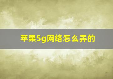 苹果5g网络怎么弄的