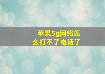 苹果5g网络怎么打不了电话了