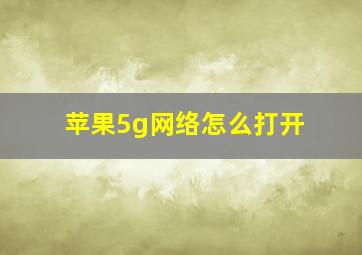 苹果5g网络怎么打开