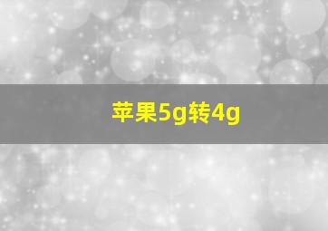 苹果5g转4g