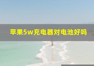 苹果5w充电器对电池好吗