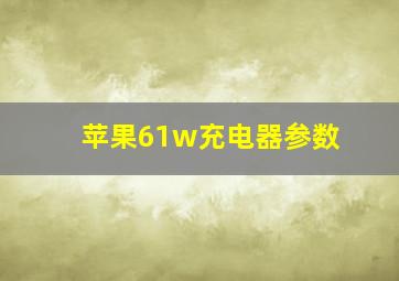 苹果61w充电器参数