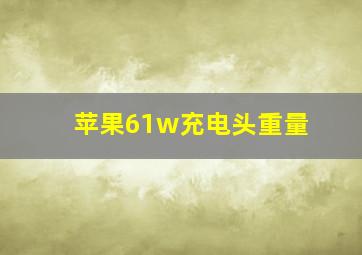 苹果61w充电头重量