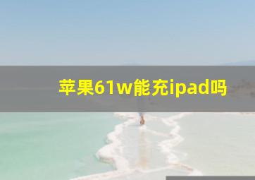 苹果61w能充ipad吗