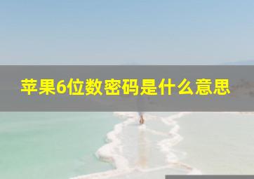 苹果6位数密码是什么意思