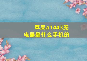 苹果a1443充电器是什么手机的