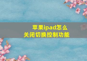 苹果ipad怎么关闭切换控制功能