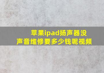 苹果ipad扬声器没声音维修要多少钱呢视频