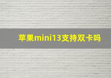 苹果mini13支持双卡吗