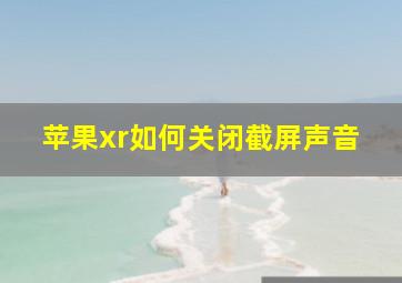 苹果xr如何关闭截屏声音