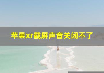 苹果xr截屏声音关闭不了