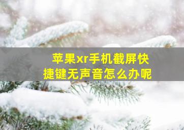 苹果xr手机截屏快捷键无声音怎么办呢