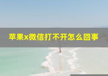 苹果x微信打不开怎么回事